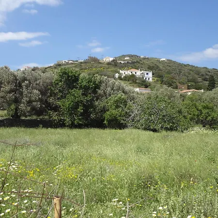 House In The Grass Land. * Ormos (Andros)